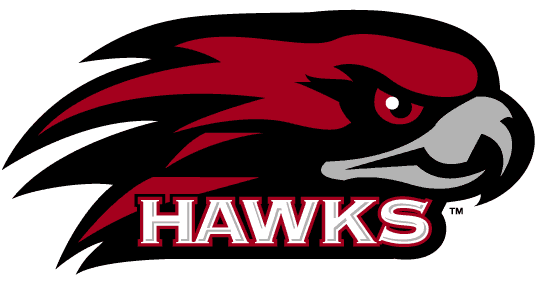 St. Joseph's Hawks 2001-Pres Alternate Logo t shirts iron on transfers v3